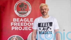 Will Young calls on research facility to allow rehoming of laboratory dogs