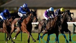 Arabian Storm geared up for Burradon test that could lead to Classic challenge