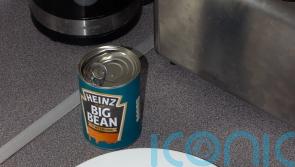 Viral giant baked bean is ‘what the people need’, say creators