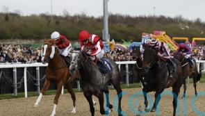 Shadow seals Newcastle treble for Balding and Murphy