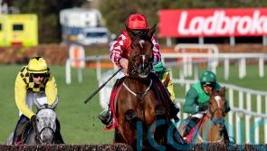 Mighty Potter ‘back to his best’ for Fairyhouse recovery mission