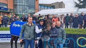 Instit floors stablemate Allegorie De Vassy at Fairyhouse