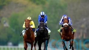 Mostahdaf team eyeing distance switch for Dubai fourth
