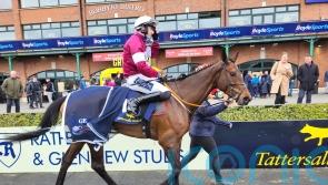 Brighterdaysahead registers ‘bittersweet’ success for Gordon Elliott