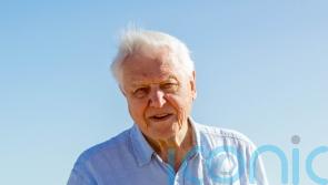 Sir David Attenborough unearths skull of Jurassic predator in new BBC programme
