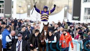 Rambler been there and done that at Cheltenham – now for ‘ticket to greatness’ at Aintree