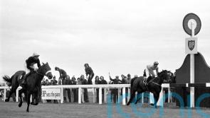 National heartbreak endures for Crisp’s rider Pitman