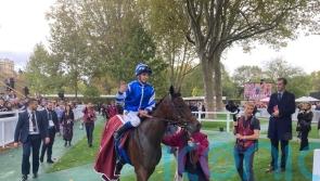 Blue Rose Cen to return this weekend