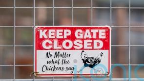 Poultry allowed outside again after risk of bird flu lowers