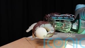 Scientists design robot hand that can grasp objects based on wrist movement
