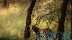 Latest edition of wildlife photobook series smashes crowdfunding target