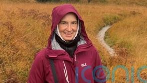 Search under way for dog walker missing in North Wales