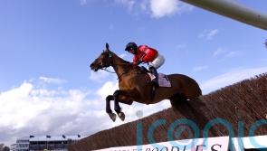 Senor ‘thriving’ ahead of Aintree Bowl task
