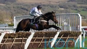 Constitution Hill expected to step up in style at Aintree