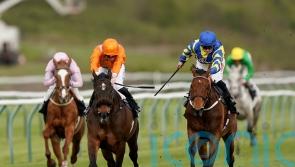 King outlines Trueshan worry after Nottingham defeat