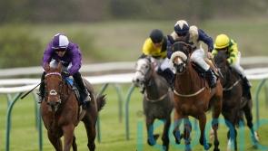 Haynes to aim higher with Nottingham victor Fix You