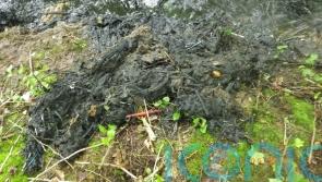 More than 3,000 storm overflows regularly dumped sewage into waterways last year