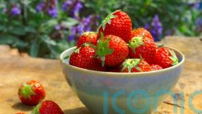 What’s in season to eat this spring?