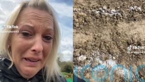 ‘Complete dream’ for founder of vandalised allotment as fundraiser soars