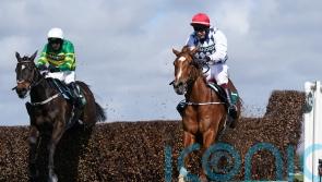 Banbridge takes full advantage of missing Cheltenham