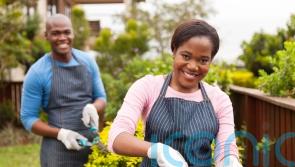 How to keep your home and garden protected as the days get lighter