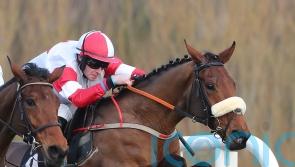 Peter Fahey confident The Big Dog has big National chance
