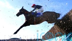 Activists plan to scale Aintree’s fences onto Grand National track