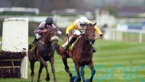 Apple Away blossoms against the boys at Aintree