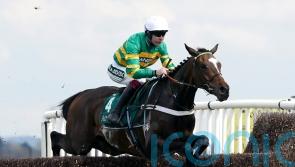 Jonbon enjoys Maghull stroll at Aintree