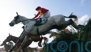All roads lead back to Aintree for National second Vanillier