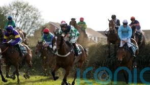 Campaigners call for jump racing ban after three horses die at Aintree