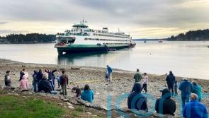 Ferry runs aground near Seattle