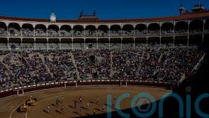 Young people drive bullfighting’s resurrection in Spain