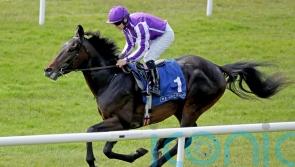 Democracy rules at the Curragh with impressive debut