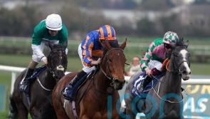 Paddington more likely to represent O’Brien in Craven than Cairo