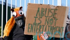 RSPCA calls for horse safety reforms as racing chiefs defend Grand National