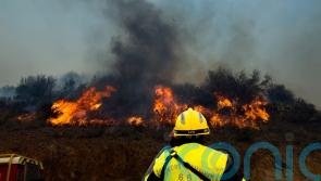 Firefighters tackle France’s first major forest blaze of 2023