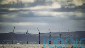 Government considers proposals to make renewables greener and more innovative