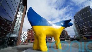 Funding for community groups to spread Eurovision magic