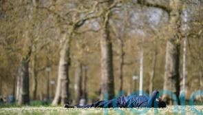 UK’s hottest temperature of 2023 so far recorded in Scottish Highlands