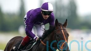 Newbury reappearance possible for Mojo Star