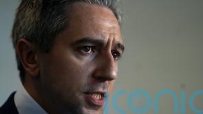 Justice minister pledges support to Garda efforts to tackle gangland crime