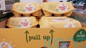 Free-range eggs to return to shelves as poultry restrictions ease