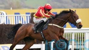 Coole Cody out to bolster fine Cheltenham record
