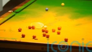 Two people bailed as police investigate World Snooker Championship protest