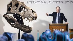 T rex skeleton sells for more than £4 million at Zurich auction