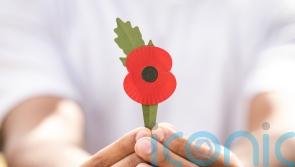 New plastic-free ‘planet-friendly’ poppy partly made from discarded coffee cups