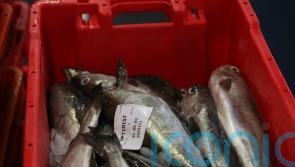 Opposition parties call for marine protection plans to be scrapped