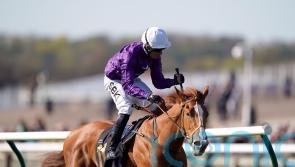 Mammas Girl motors to deeply impressive Neill Gwyn success