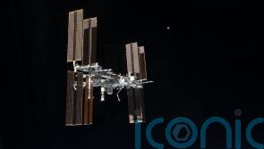 Mice sent to ISS reveal possible link between gut bacteria and bone loss